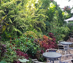 La Buana Homestay photo