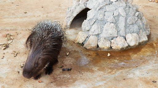 Parque Zoológico Nacional