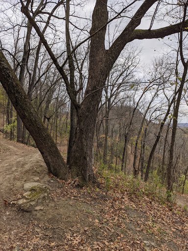 Florist «La Crosse Floral», reviews and photos, 2900 Floral Ln, La Crosse, WI 54601, USA