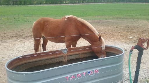 Event Venue «Louisville Palace Theatre», reviews and photos, 625 S 4th St, Louisville, KY 40202, USA