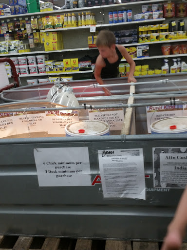 Department Store «Rural King», reviews and photos, 2947 S Washington St, Kokomo, IN 46902, USA