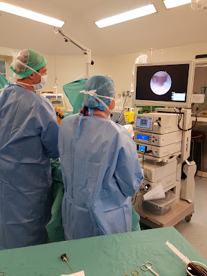Docteur PARESSANT Cédric (chirurgie de la main et du pied) à Saint-Nazaire
