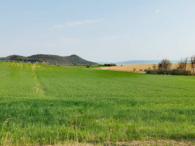 Nagyi Kertje Étterem és Teaház - Kávézó