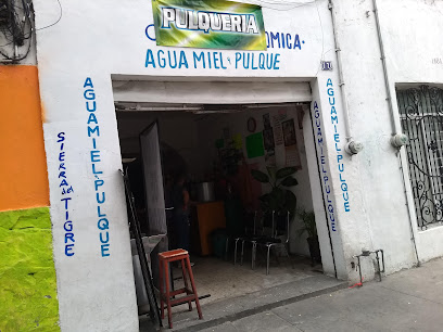 Aguamiel y Pulque La Central vieja