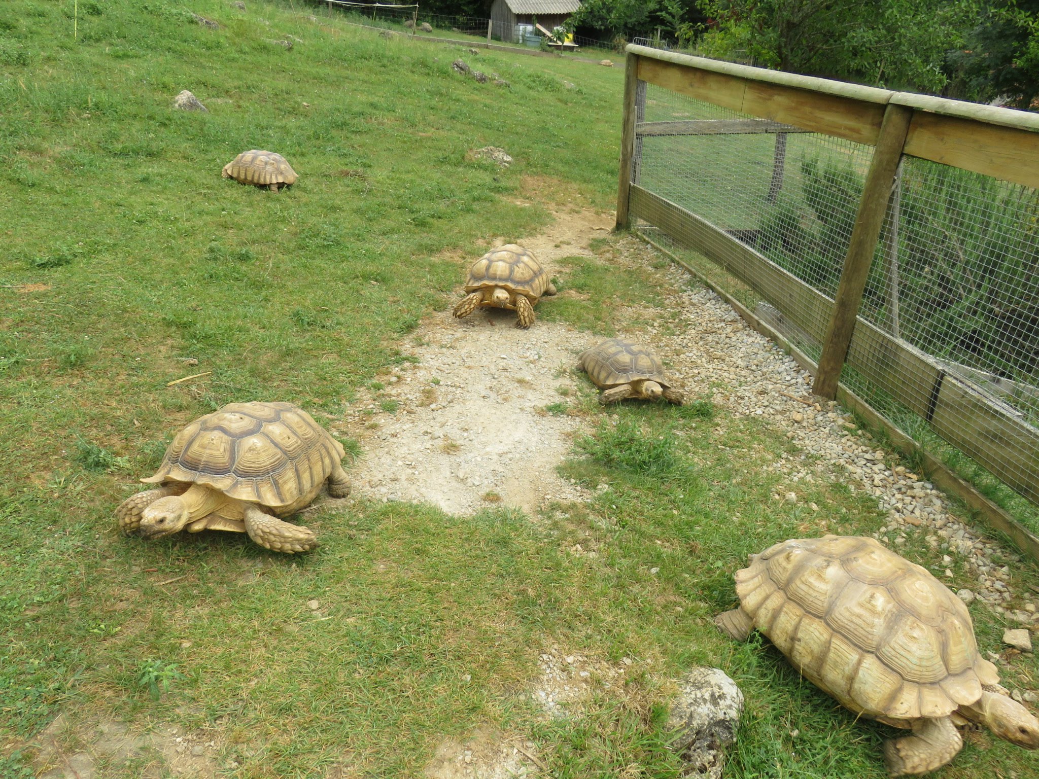 Photo n° 3 de l'avis de Joelle.o fait le 19/07/2019 à 12:55