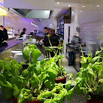 Photo n°2 de l'avis de Nicole.i fait le 01/11/2018 à 18:31 sur le  Zum goldenen Frosch à Landau