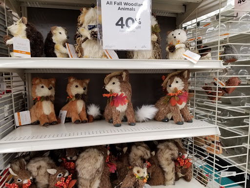 Craft Store «Michaels», reviews and photos, 861 Williston Rd Ste 1, South Burlington, VT 05403, USA