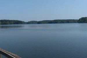 Lake Lamar Bruce image