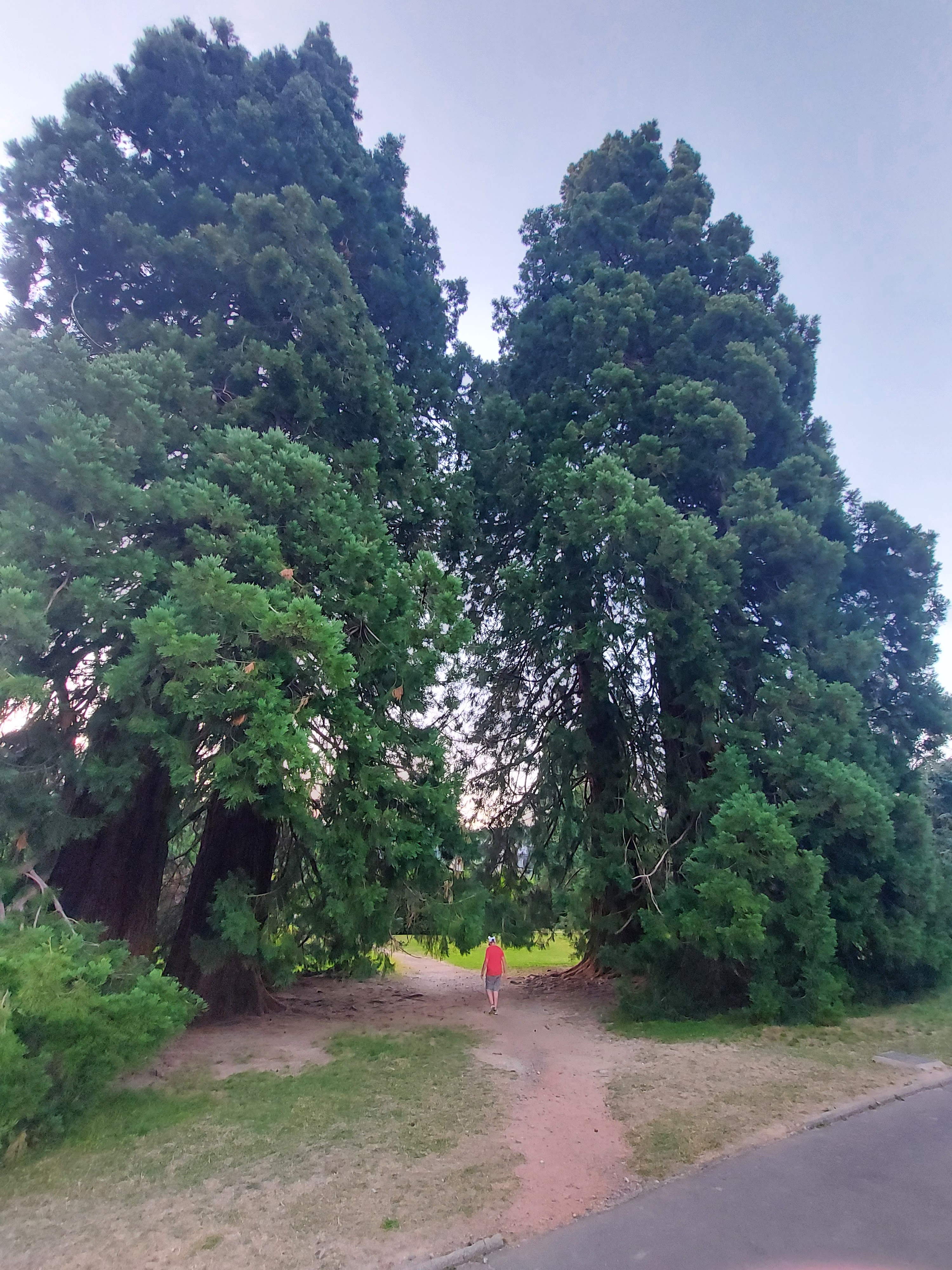 Photo n° 1 de l'avis de Jean.u fait le 21/07/2022 à 23:51