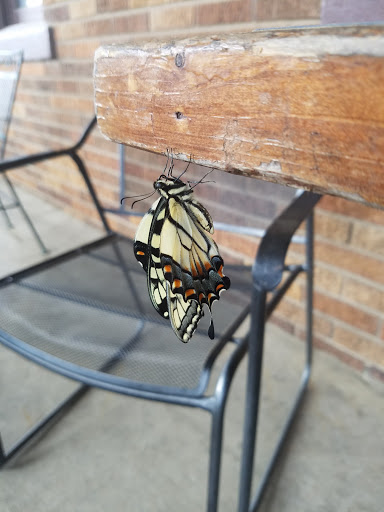 Coffee Shop «Edge Coffee House», reviews and photos, 1900 Aggie Rd, Jonesboro, AR 72401, USA