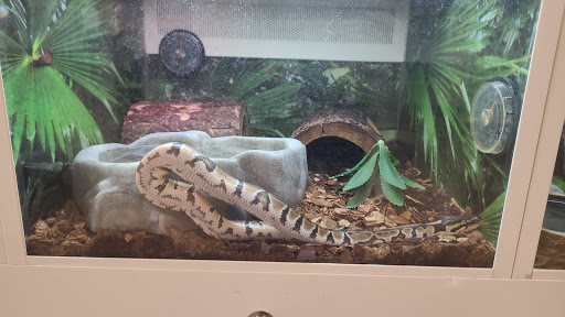 Pet Supply Store «PetSmart», reviews and photos, 14420 Farm to Market 2920, Tomball, TX 77377, USA