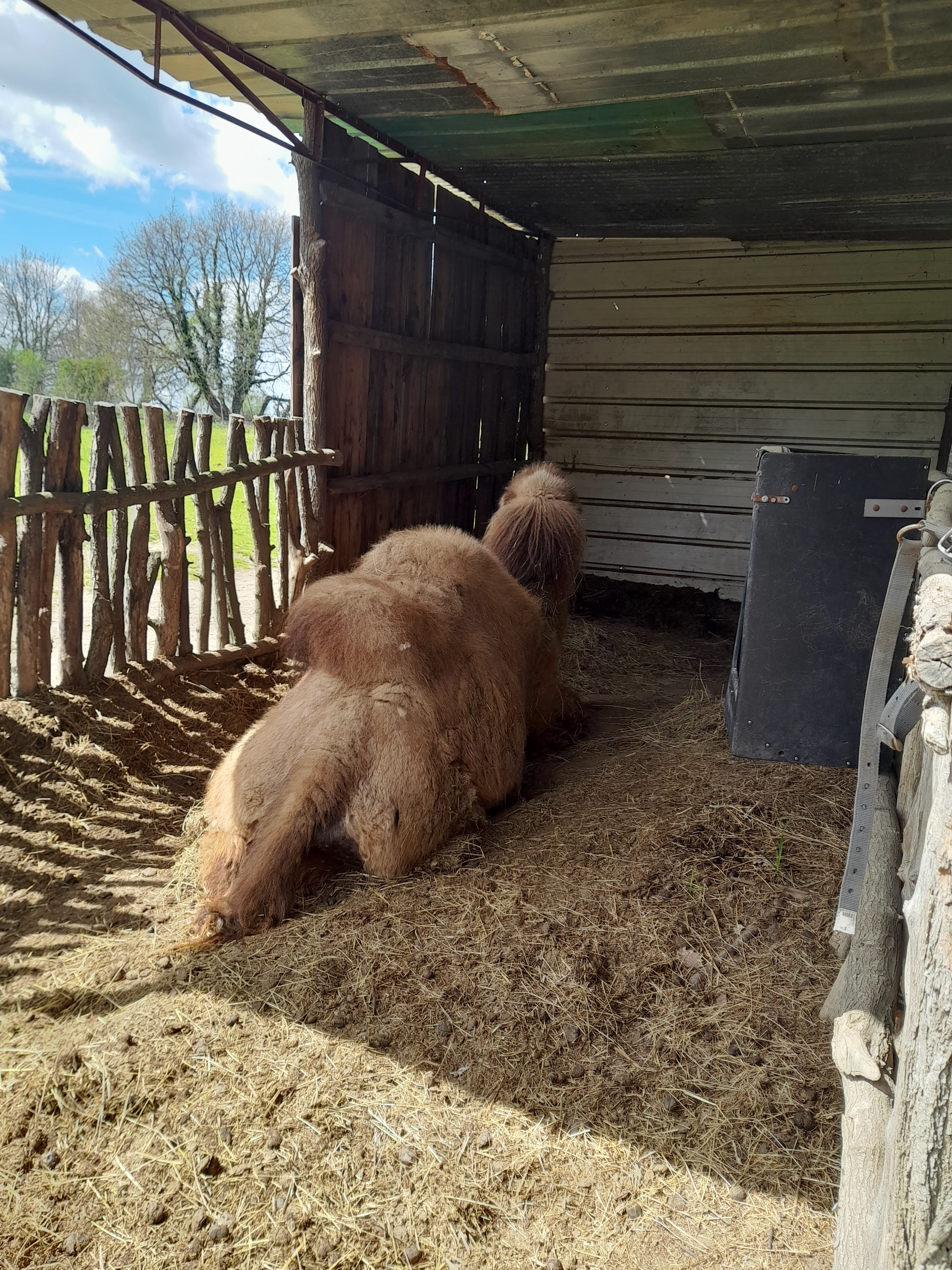 Photo n° 6 de l'avis de Pascale.h fait le 23/04/2023 à 15:29