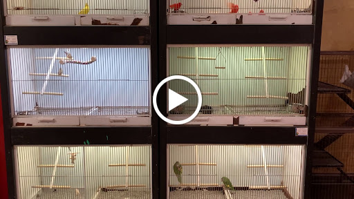 Pet Store «All Pets Club», reviews and photos, 1167 N Colony Rd, Wallingford, CT 06492, USA