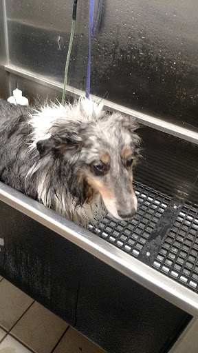 Pet Supply Store «Pet Supplies Plus», reviews and photos, 2180 Dixie Hwy, Fort Mitchell, KY 41017, USA