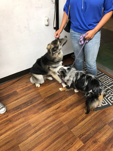 Auto Tag Agency «Pacific Choice Auto Registration & Insurance», reviews and photos