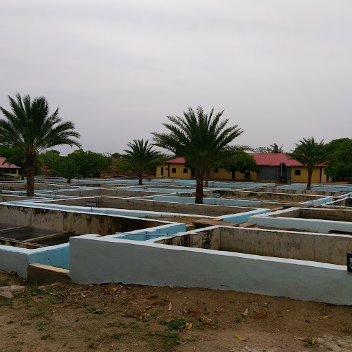 National Institute for Freshwater Fisheries Research - NIFFR, New Bussa, Nigeria, Preschool, state Niger