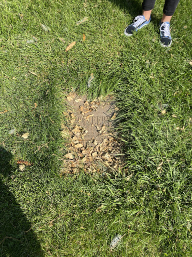 Cemetery «Memorial Mountain View Mortuary, Cemetery and Pet Garden», reviews and photos, 3115 Bengal Blvd, Cottonwood Heights, UT 84121, USA