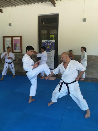 Dojo Bushido (Escuela de Karate) - Escuela