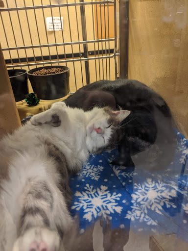 Pet Supply Store «PetSmart», reviews and photos, 198 Promenade Blvd, Flowood, MS 39232, USA