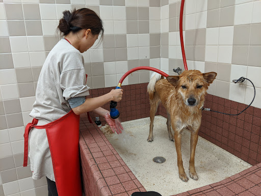 Pet Supply Store «Pet Food Express», reviews and photos, 785 Oak Grove Rd, Concord, CA 94518, USA