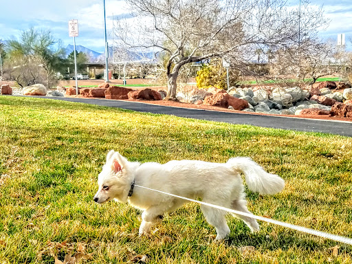 Park «All American Park», reviews and photos, 1551 S Buffalo Dr, Las Vegas, NV 89117, USA