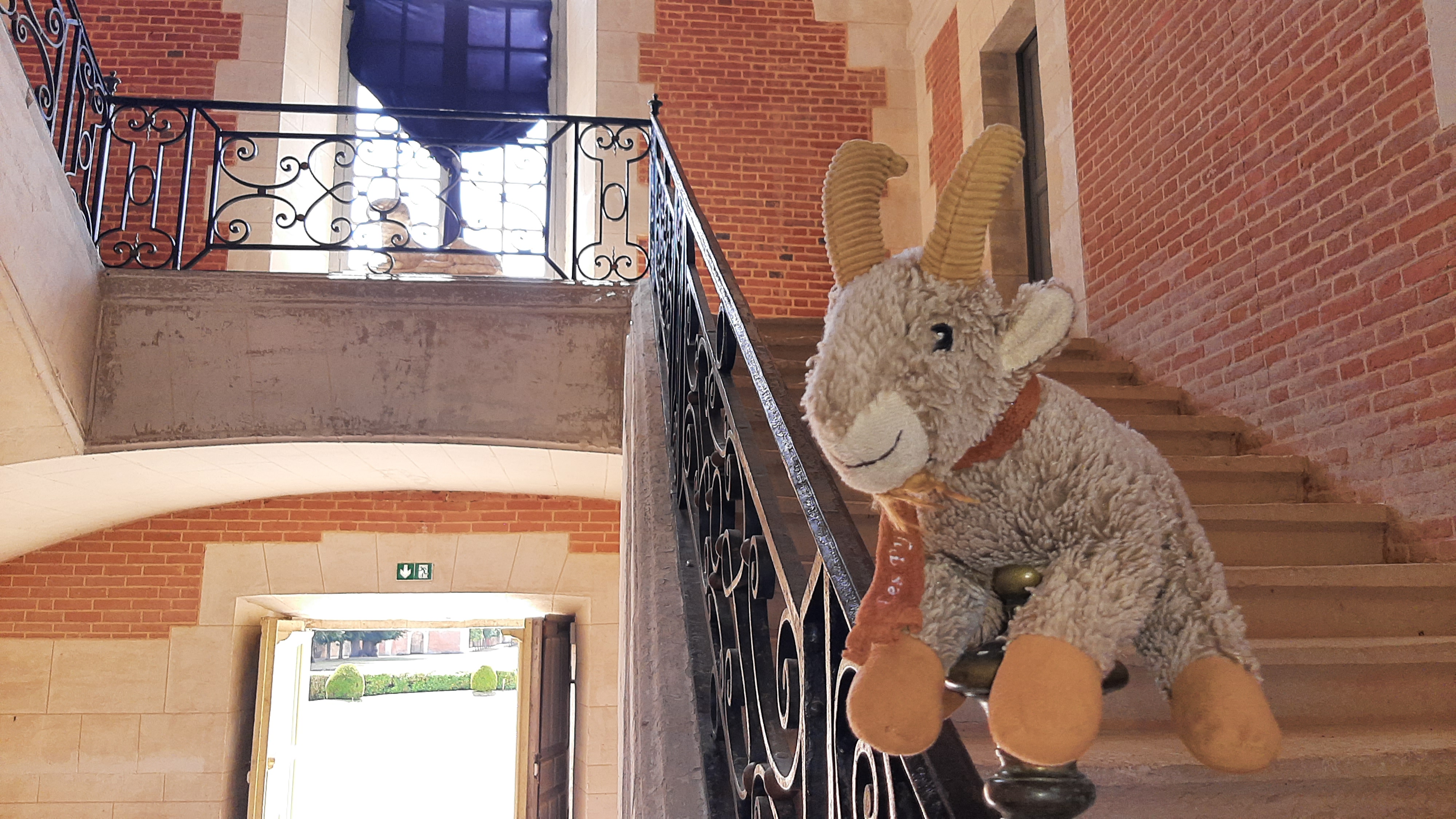 Photo n° 15 de l'avis de Armando.a fait le 18/07/2022 à 07:06