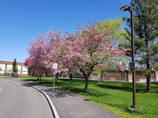 Toyota Dealer «Wellesley Toyota», reviews and photos, 234 Worcester St, Wellesley, MA 02481, USA
