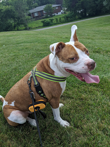 Park «Stringtown Park», reviews and photos, 7340 Burlington Pike, Florence, KY 41042, USA