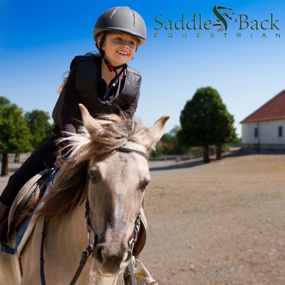 SaddleBack Equestrian