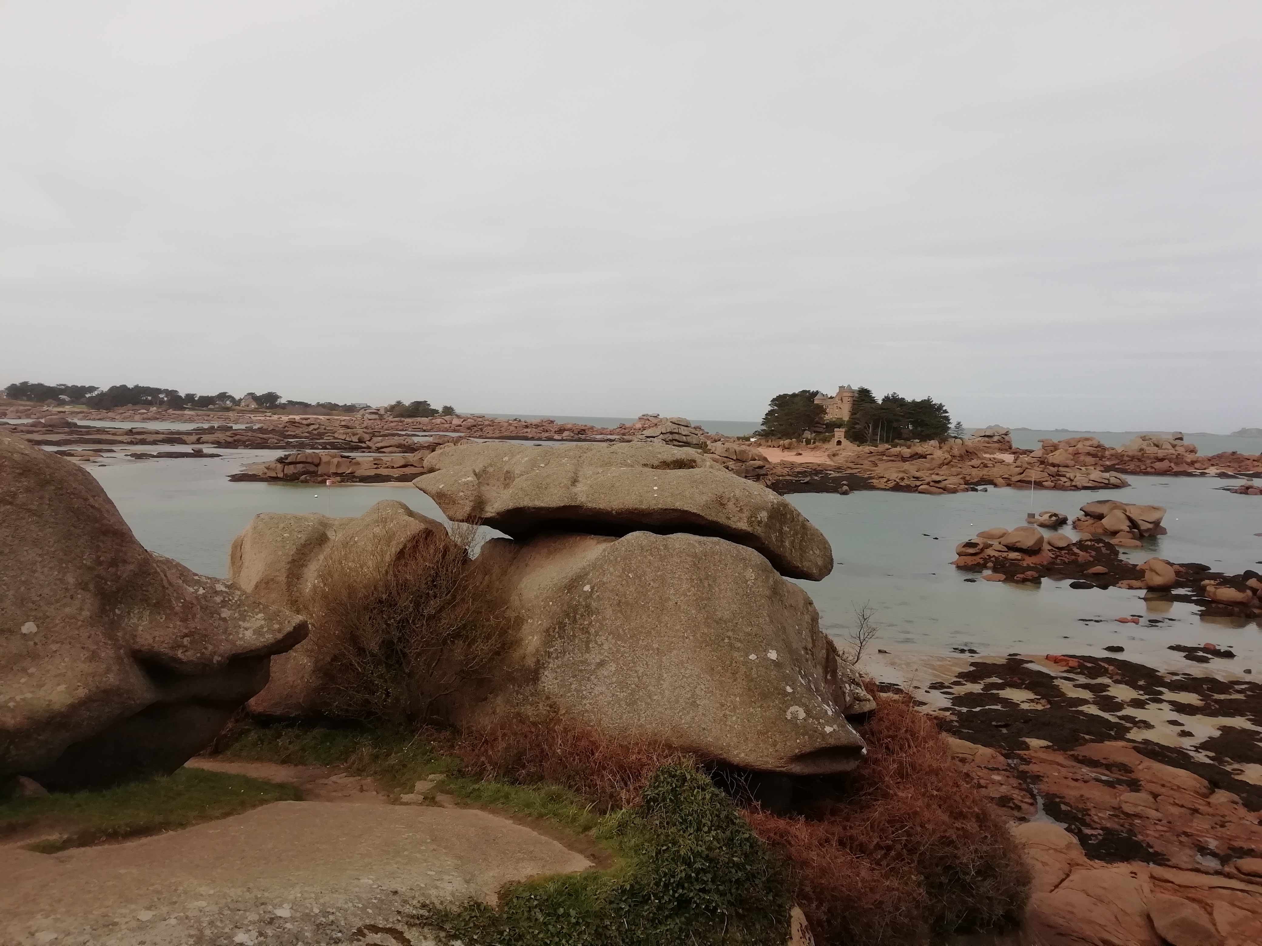 Photo n° 1 de l'avis de Francia.a fait le 03/04/2021 à 05:31