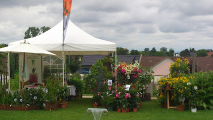 Il Giardino und Floralstudio Haas