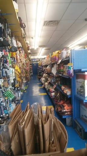 Pet Store «Petland Discounts - Irvington», reviews and photos, 1054 Springfield Ave, Irvington, NJ 07111, USA