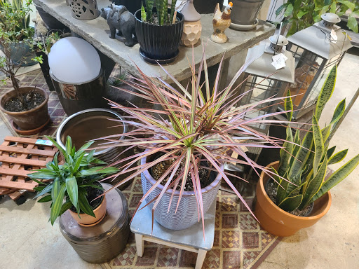 Garden Center «Victoria Gardens», reviews and photos, 1 Cottekill Rd, Rosendale, NY 12472, USA