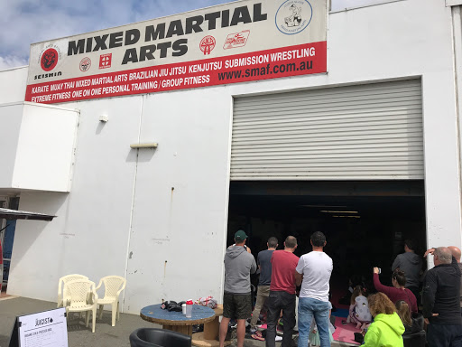Seishin Martial Arts and Fitness Academy