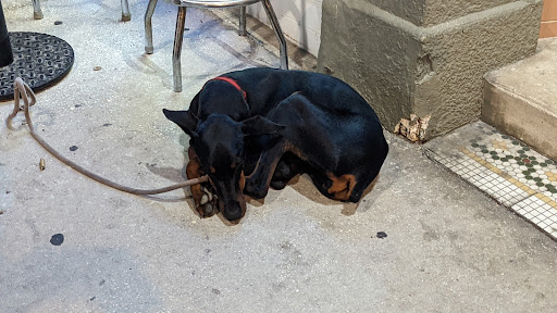 Night Club «The Alley», reviews and photos, 114 S Park Ave, Sanford, FL 32771, USA