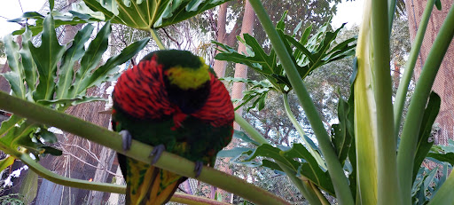 Gift Shop «Pacific Collections Gift Shop», reviews and photos, 100 Aquarium Way, Long Beach, CA 90802, USA