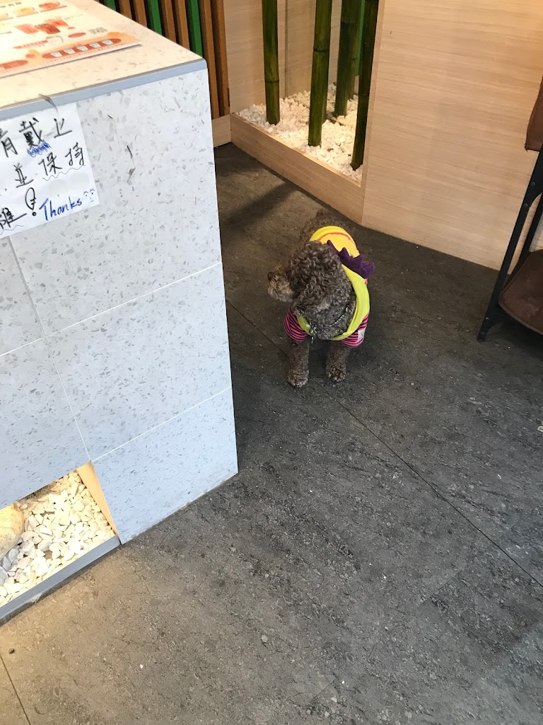 百百水果茶 桃園中山店 的照片