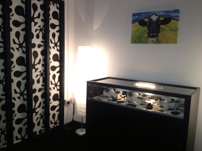 Comments and reviews of P X PIERCING CLINIC