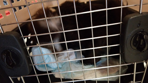 Pet Supply Store «Petco Animal Supplies», reviews and photos, 1100 Middle Country Rd, Selden, NY 11784, USA