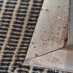 Photo n°3 de l'avis de Marcella.a fait le 05/08/2023 à 10:35 sur le  Novotel Caserta Sud à Capodrise