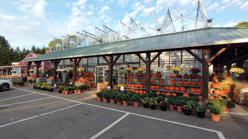 E Draghi & Son Farm Stand, 86 Main St, South Glastonbury, CT 06073, USA, 