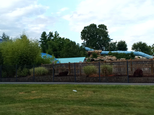 Water Park «White Water», reviews and photos, 3505 W 76 Country Blvd, Branson, MO 65616, USA