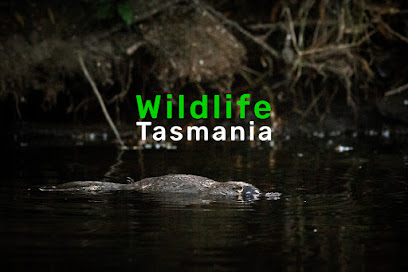 Wildlife Tasmania Pty Ltd