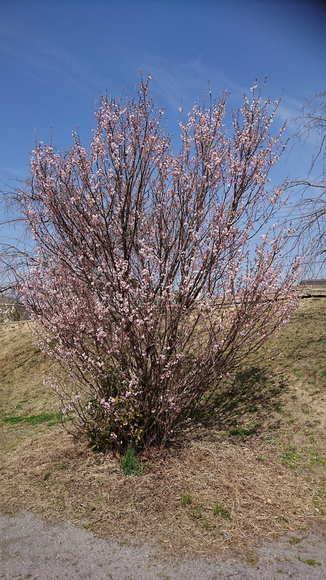 新知東町2号公園