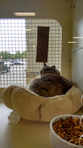 Pet Supply Store «Petco Animal Supplies», reviews and photos, 30 Veterans Memorial Hwy, Commack, NY 11725, USA