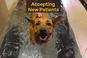 Sears Animal Hospital & Pet Rehabilitation image