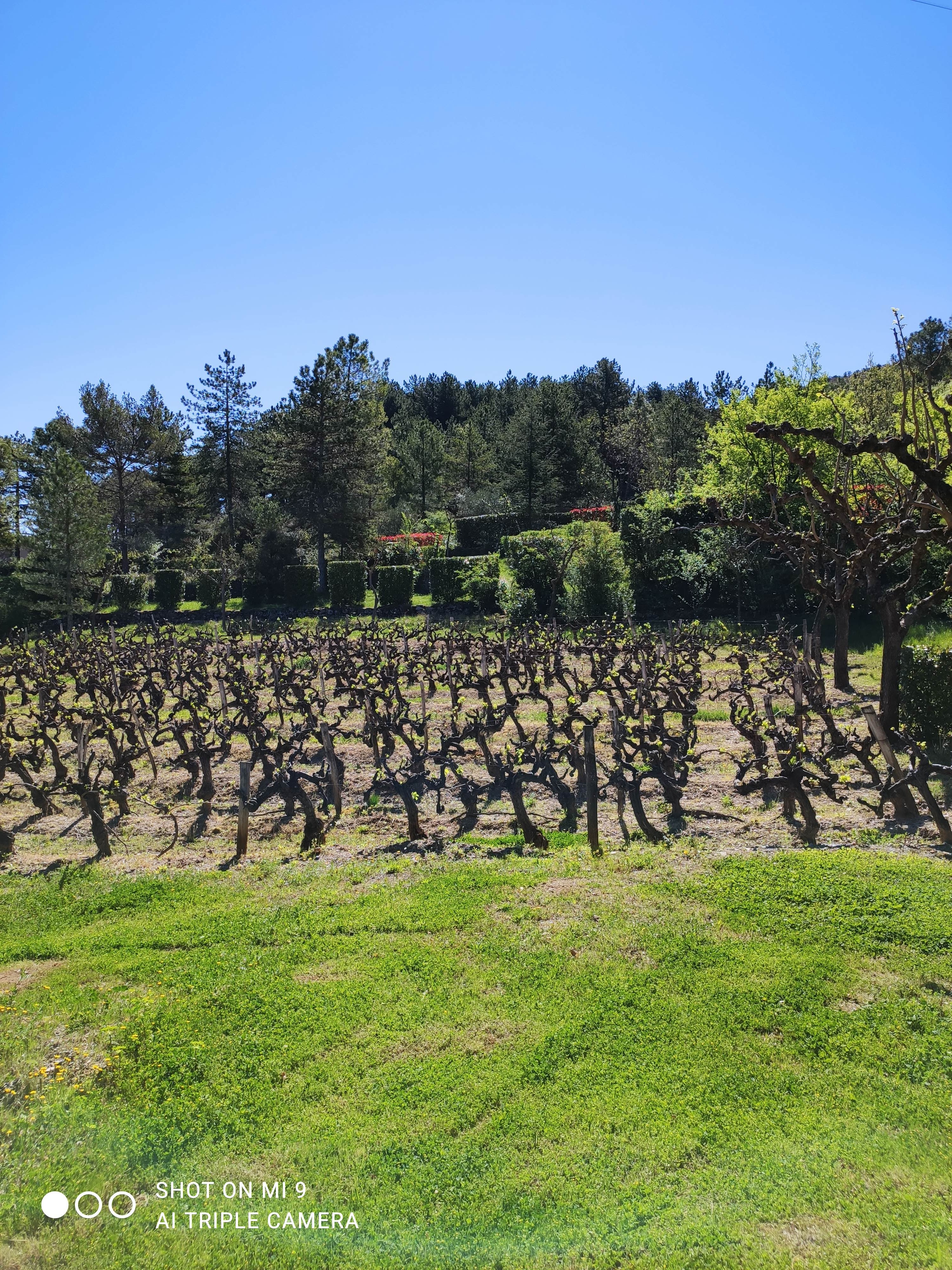 Photo n° 1 de l'avis de Sandrine.H fait le 12/06/2022 à 14:56
