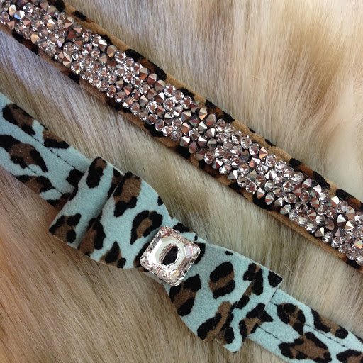 Pet Supply Store «Dog Style Canine Supply Company», reviews and photos, 2002 Judson Rd Suite 102, Longview, TX 75605, USA