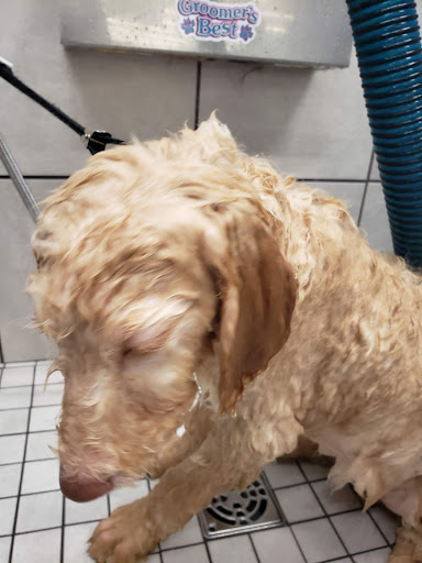 Pet Supply Store «Pet Supplies Plus», reviews and photos, 2433 MacArthur Rd, Whitehall, PA 18052, USA