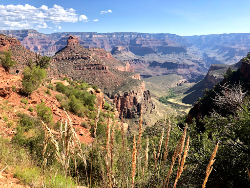 National Park «Grand Canyon National Park», reviews and photos